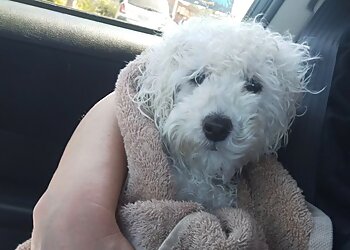 West Adelaide Pet Sitters