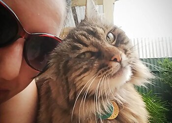 West Adelaide Pet Sitters