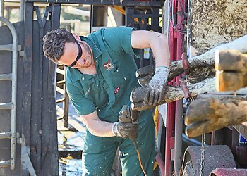 West Gippsland Vet Care