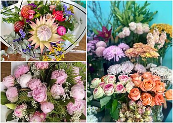 Wild Pansi Flowers & Gifts