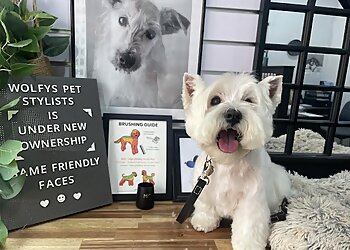 Wolfys Pet Stylists
