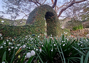 Wollongong Botanic Garden