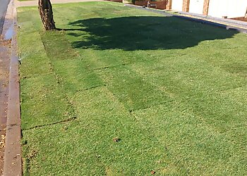 Wollundry Landscapes