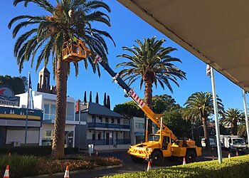 Woodvale Tree Services