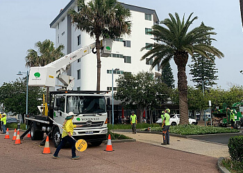 Woodvale Tree Services