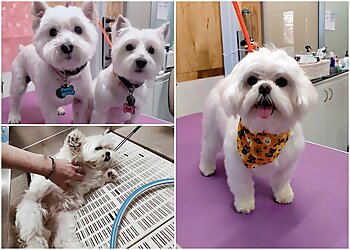 Woofers Dog Grooming