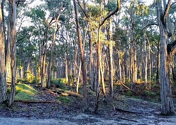 Woowookarung Regional Park