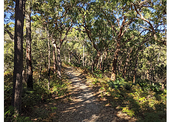 3 Best Hiking Trails in Central Coast, NSW - Expert Recommendations