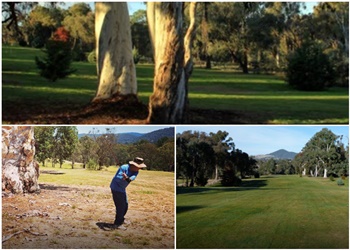 Yackandandah Golf Club