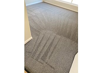 iCarpet Clean and Pest Control